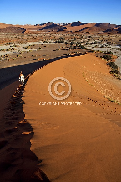 Sossusvlie - Namib Desert - Namibia
