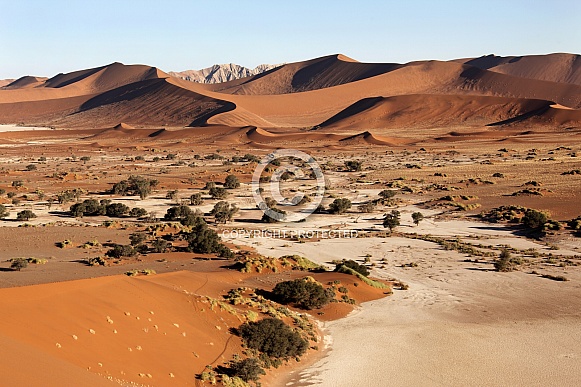 Namib Desert - Sossusvlei - Namibia Namib Desert - Sossusvlei - Namibia