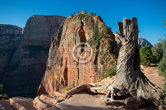 Zion National Park, Utah
