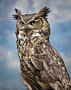 Great Horned Owl--Great Horned Owl in the Clouds