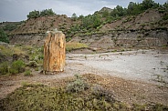Theodore Roosevelt National Park