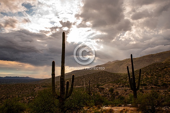 Arizona Landscape