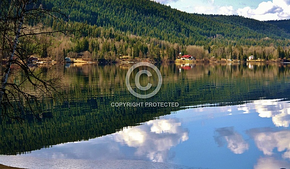 Summer Reflections