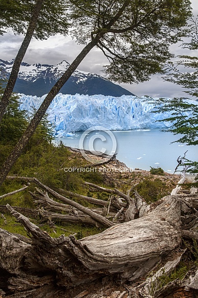 Perito Moreno Glacier - Argentina