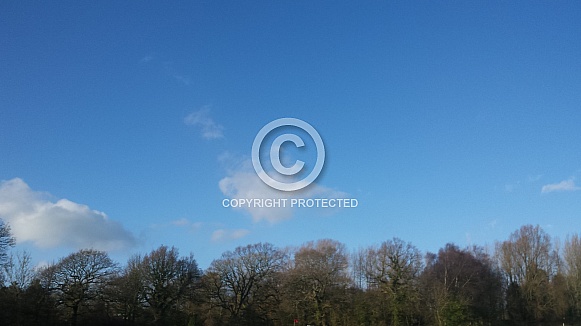 Skyscape/Clouds. This photo is free to download. As artists, we sometimes find ourselves needing reference material for skies or cloud formations, so hopefully these may be of use.