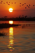 Sunset over the Chobe River - Botswana