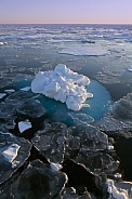 Sea ice in the Arctic Ocean