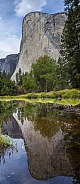 Yosemite - El Capitan