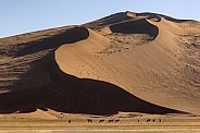 Namib Desert - Namib-nuakluft National Park - Sossusvlei - Namibia