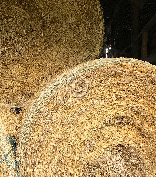 Bales of Hay