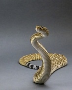 Red Diamondback Rattlesnake