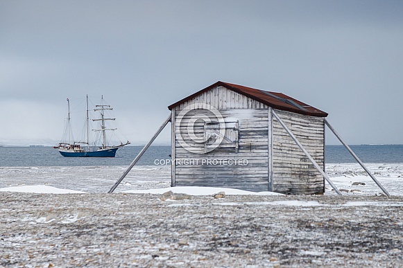 Tal Ship Antigua