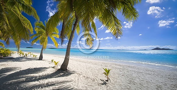Tropical beach - Cook Islands