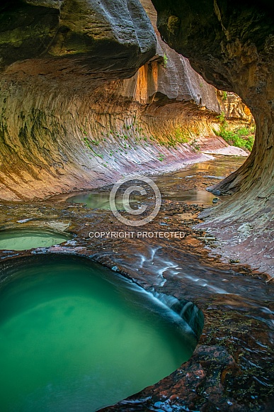 Zion National Park, Utah