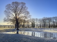 Frosty morning in the countryside