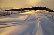 Winter snow - North Yorkshire - England
