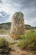 Theodore Roosevelt National Park