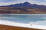Tuyajto Salt Flats - Atacama Desert - Chile