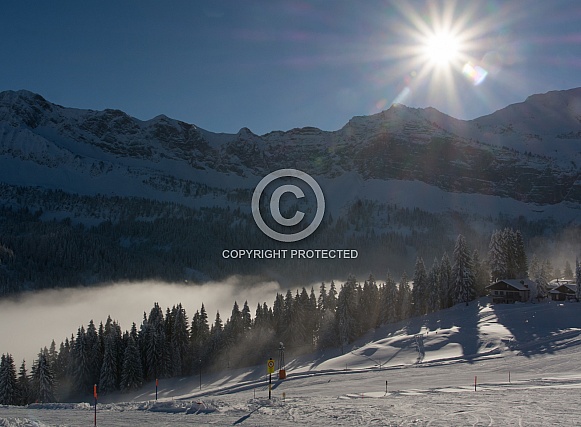 Winter Day Winter Day