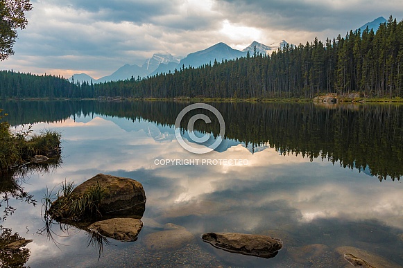 Herbert Lake