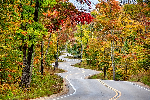 Curvy Road Through an Autumn Forest