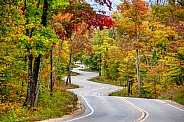 Curvy Road Through an Autumn Forest