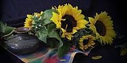 Little pot and Sunflowers