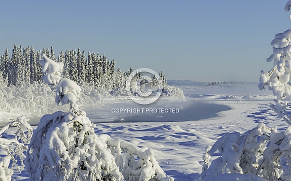 Winter Wilderness Landscape along the Tanana River, Alaska