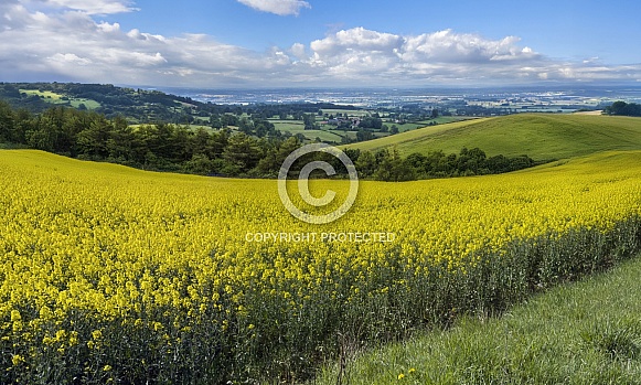 East Yorkshire Wolds - England