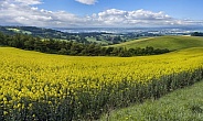 East Yorkshire Wolds - England