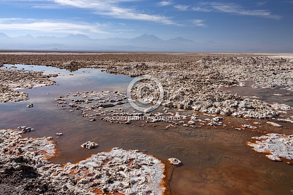 Atacama Salt Flats in the Atacama Desert - Chile