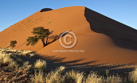 Namib-Naukluft National Park - Namibia