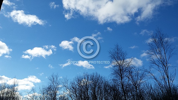 Skyscape/Clouds. This photo is free to download. As artists, we sometimes find ourselves needing reference material for skies or cloud formations, so hopefully these may be of use.