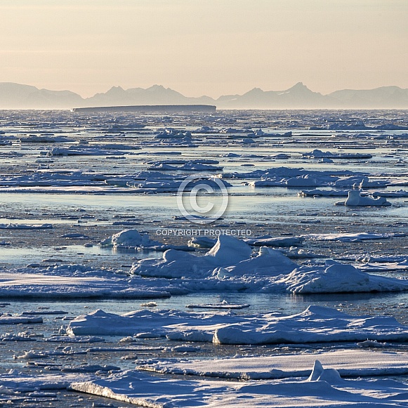 Sea ice - Greenland Sea ice - Greenland