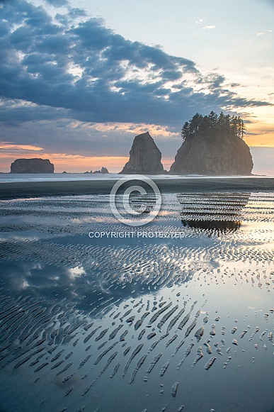 Pacific Northwest Seascape