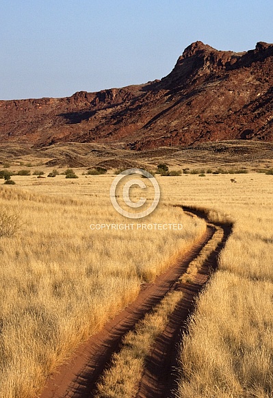 Desert track in Damaraland - Namibia Desert track in Damaraland - Namibia