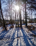 Winter Snow Sun