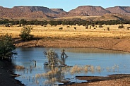 Damaraland - Namibia
