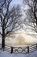 Cold and misty winter's morning in rural England