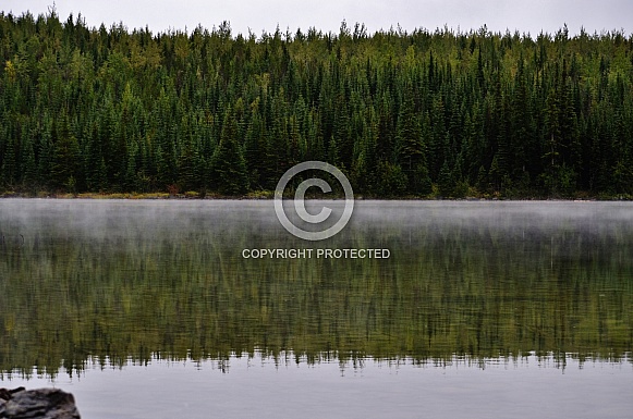 Morning Mist Morning Mist