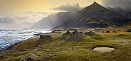 Volcanic landscape - Iceland