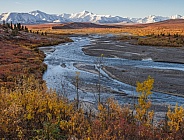 Autumn Landscape at Denali National Park, Alaska