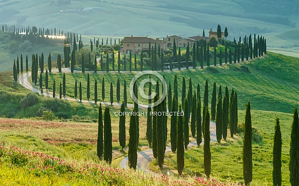 Tuscany Italy Tuscany Italy