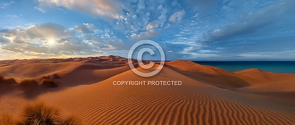 Sand dunes on the Skeleton Coast - Namibia