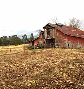 Old Barn and field of golden grass