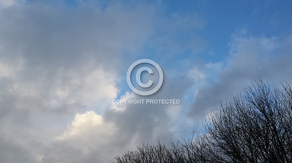 Skyscape/Clouds. This photo is free to download. As artists, we sometimes find ourselves needing reference material for skies or cloud formations, so hopefully these may be of use. Skyscape/Clouds. This photo is free to download. As artists, we sometimes find ourselves needing reference material for skies or cloud formations, so hopefully these may be of use.
