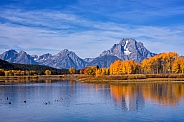 Oxbow Bend in the Fall