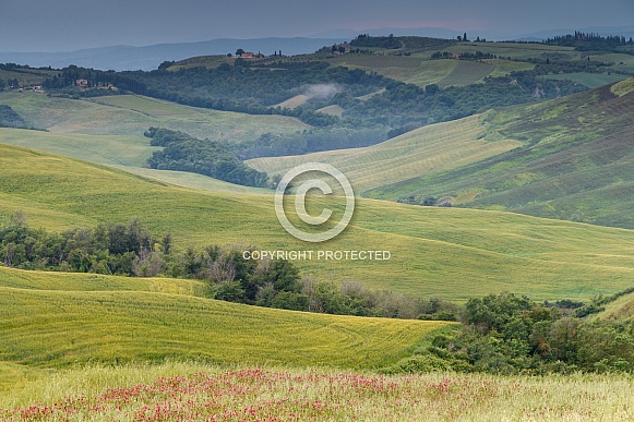 Tuscany Italy Tuscany Italy