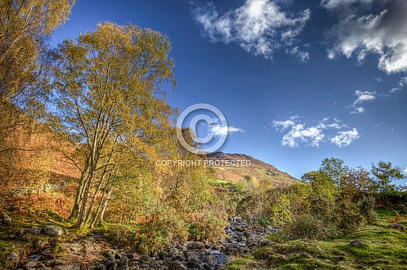 Mountain stream Mountain stream