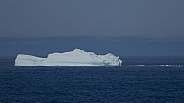 Icebergs at Newfoundland